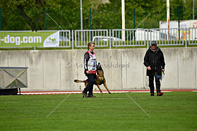 Bolt van Kluggenheim