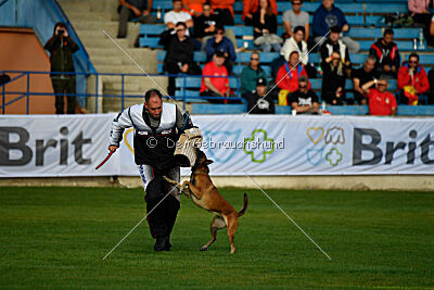 Bomba del Tiempo de Fontemordant