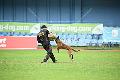 Bomba del Tiempo de Fontemordant