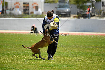 Bomba del Tiempo de Fontemordant