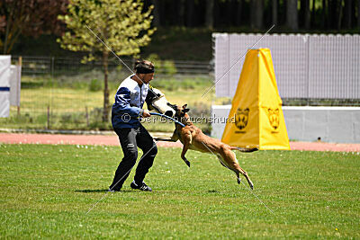 Bomba del Tiempo de Fontemordant