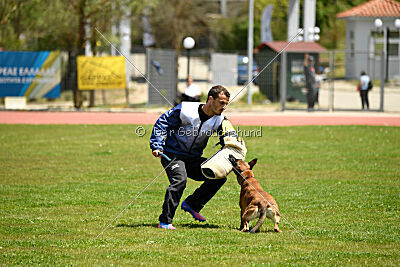 Bomba del Tiempo de Fontemordant
