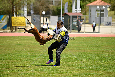 Bomba del Tiempo de Fontemordant