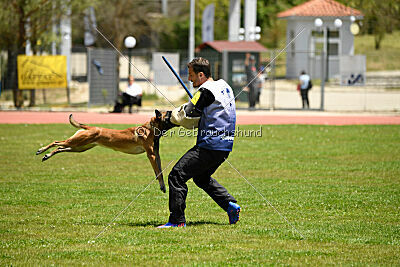 Bomba del Tiempo de Fontemordant