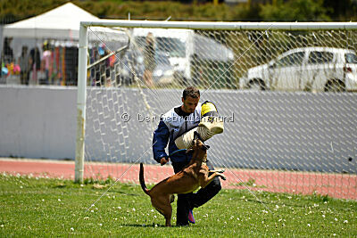 Bomba del Tiempo de Fontemordant