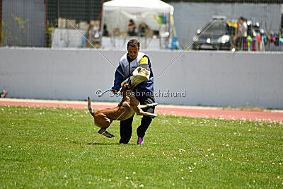 Bomba del Tiempo de Fontemordant