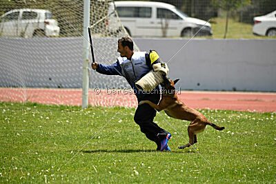 Bomba del Tiempo de Fontemordant