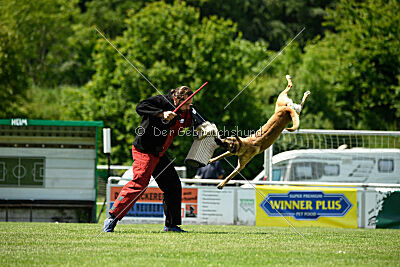 Bondage von Zamonien