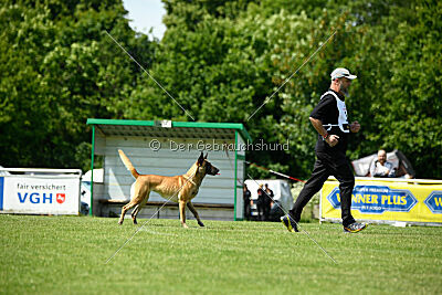 Bondage von Zamonien
