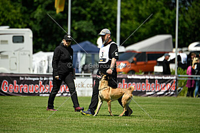 Bondage von Zamonien