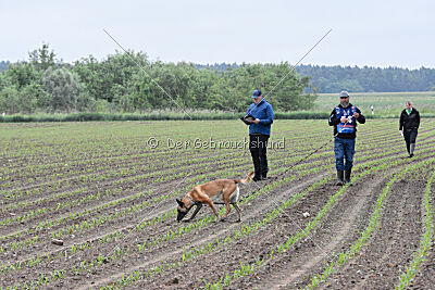 Bondage von Zamonien