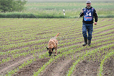 Bondage von Zamonien