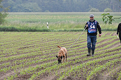 Bondage von Zamonien