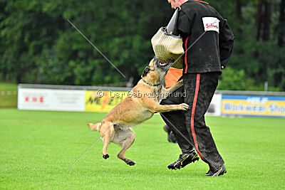 Bondage von Zamonien