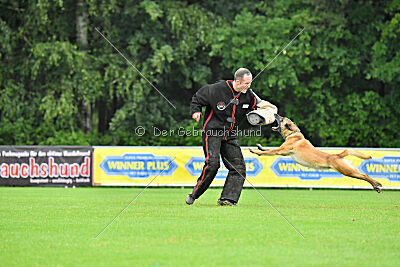 Bondage von Zamonien