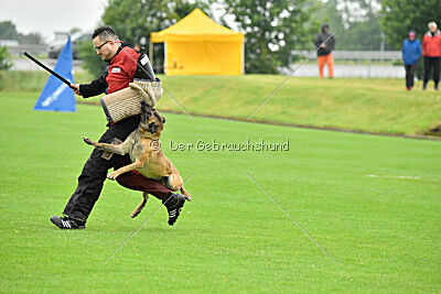 Bondage von Zamonien