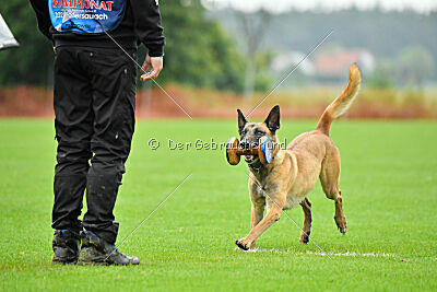 Bondage von Zamonien