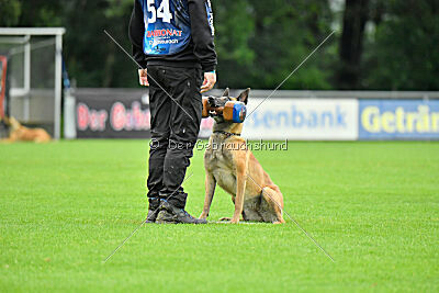 Bondage von Zamonien