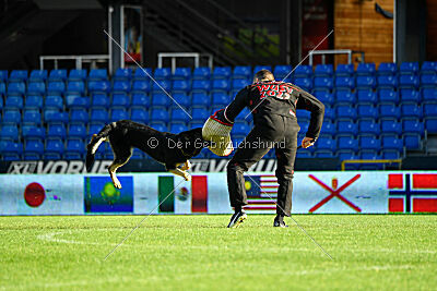 Bono Extreme Arakon Land