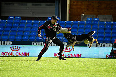 Bono Extreme Arakon Land