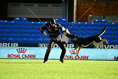 Bono Extreme Arakon Land