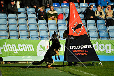 Bono Extreme Arakon Land