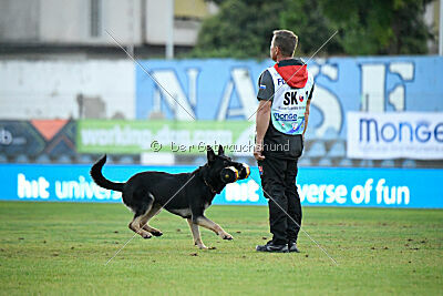 Bono Extreme Arakon Land