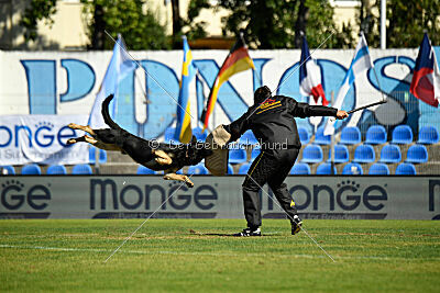 Bono Extreme Arakon Land