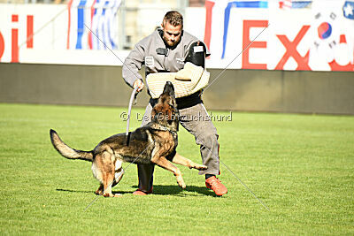 Boomer da la Vieja Encina