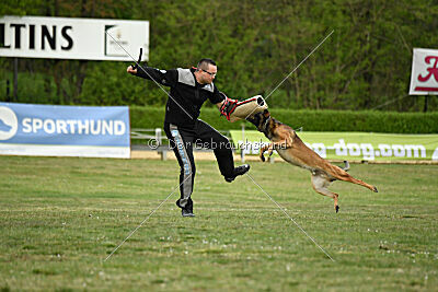 Boomer vom Further Moor