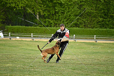 Boomer vom Further Moor