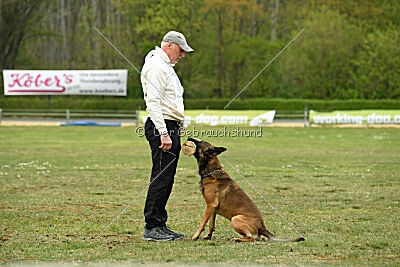 Boomer vom Further Moor