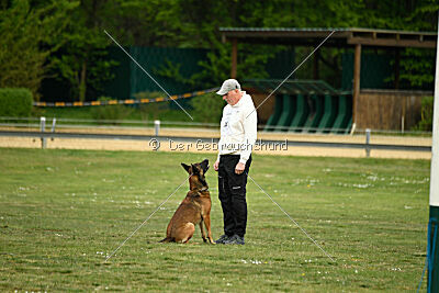 Boomer vom Further Moor