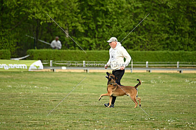 Boomer vom Further Moor