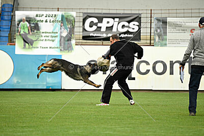 Boomer vom Wolfsdreieck