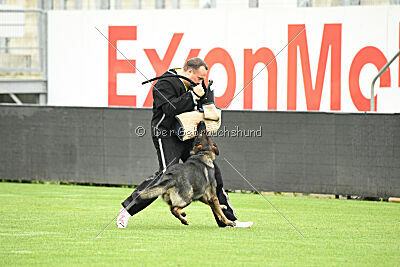 Boomer vom Wolfsdreieck