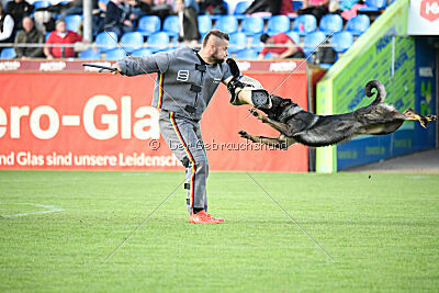 Boomer vom Wolfsdreieck