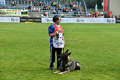 Boris vom R Plus