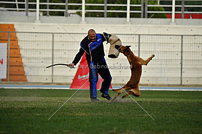 Boris von Anauj Haus