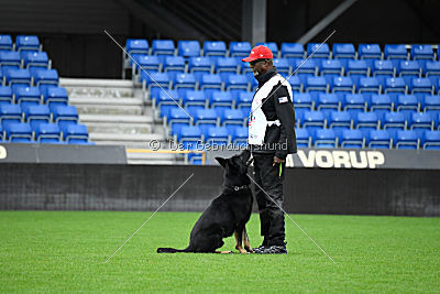 Boss vom Adlerschrei