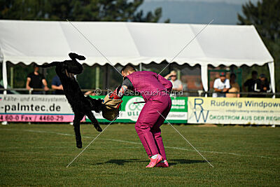 Bosse vom Lindelbrunn