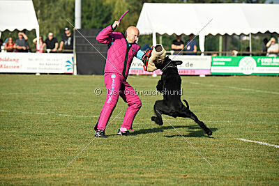 Bosse vom Lindelbrunn