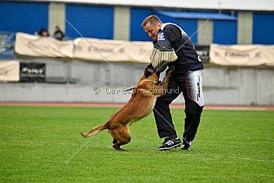 Bouí z Údolí Jizery