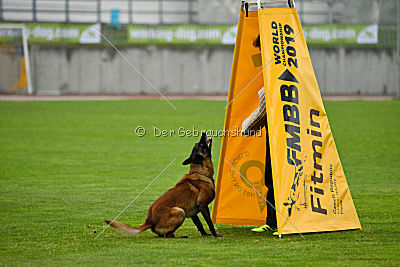 Bouí z Údolí Jizery