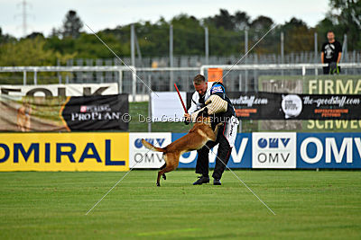 Bouí z Údolí Jizery