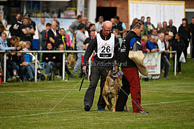 Bowie vom Clan der Wölfe