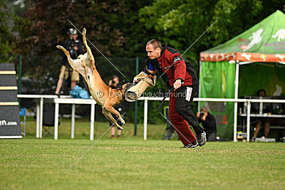 Bowie vom Clan der Wölfe