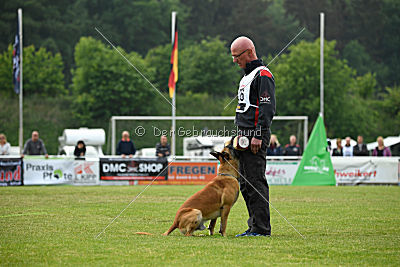 Bowie vom Clan der Wölfe