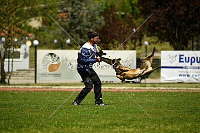 Boyka de Fontemordant