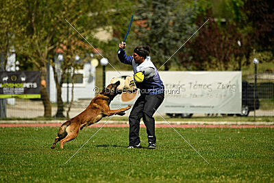 Boyka de Fontemordant
